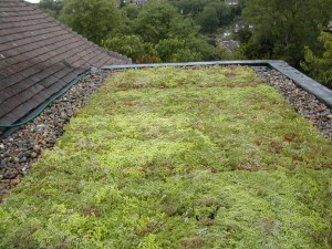 green roof installed